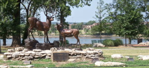 cropped-Tulsa-River-Parks-Mule-Deer1.jpg